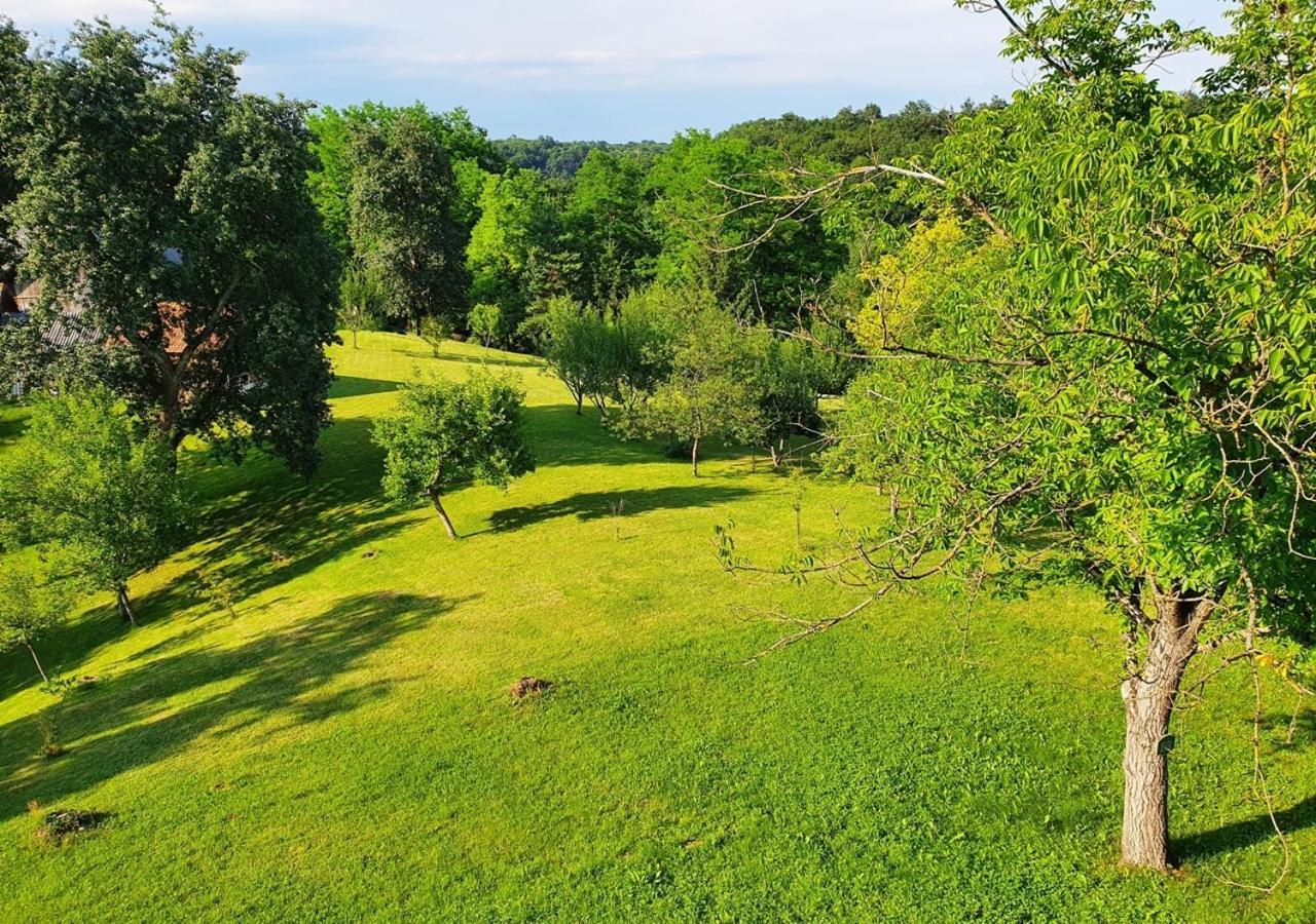 Green Eden Gornji Zvečaj Extérieur photo