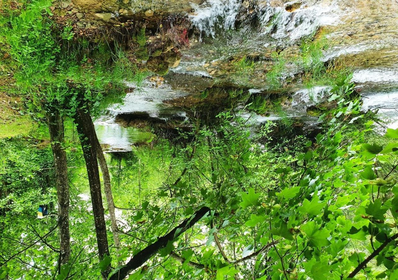 Green Eden Gornji Zvečaj Extérieur photo