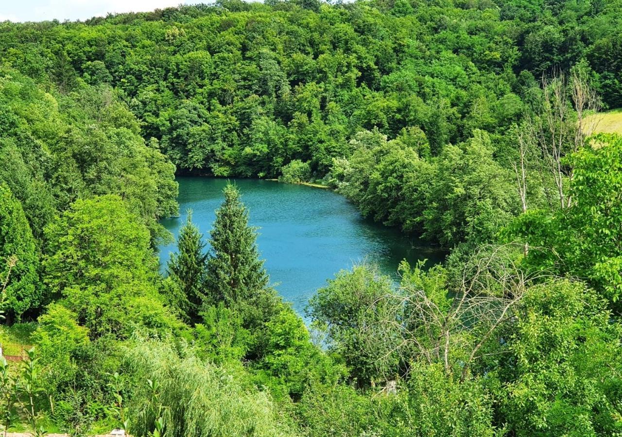 Green Eden Gornji Zvečaj Extérieur photo