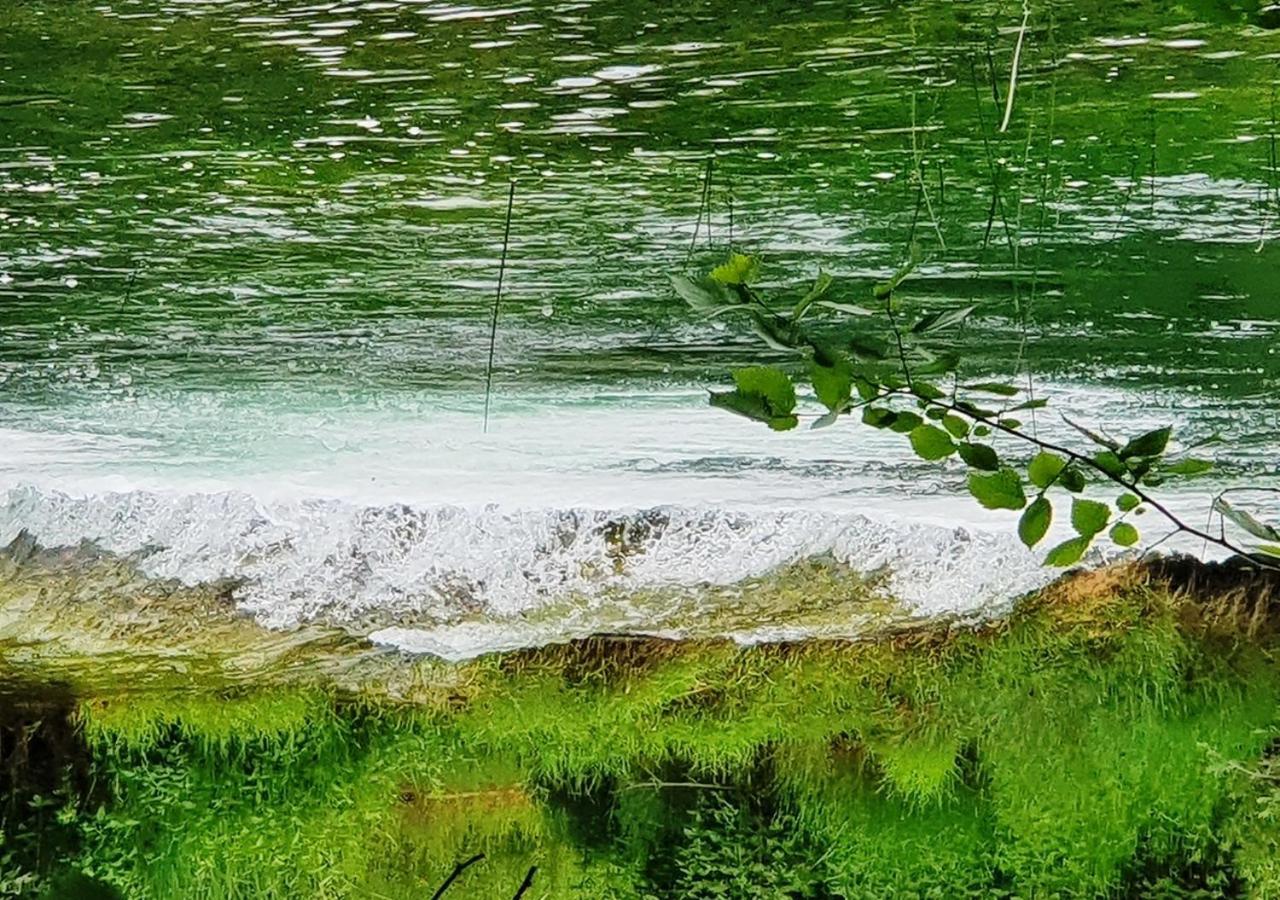 Green Eden Gornji Zvečaj Extérieur photo