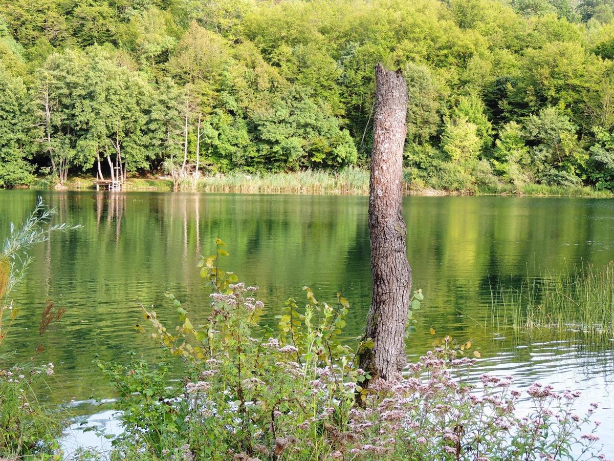 Green Eden Gornji Zvečaj Extérieur photo
