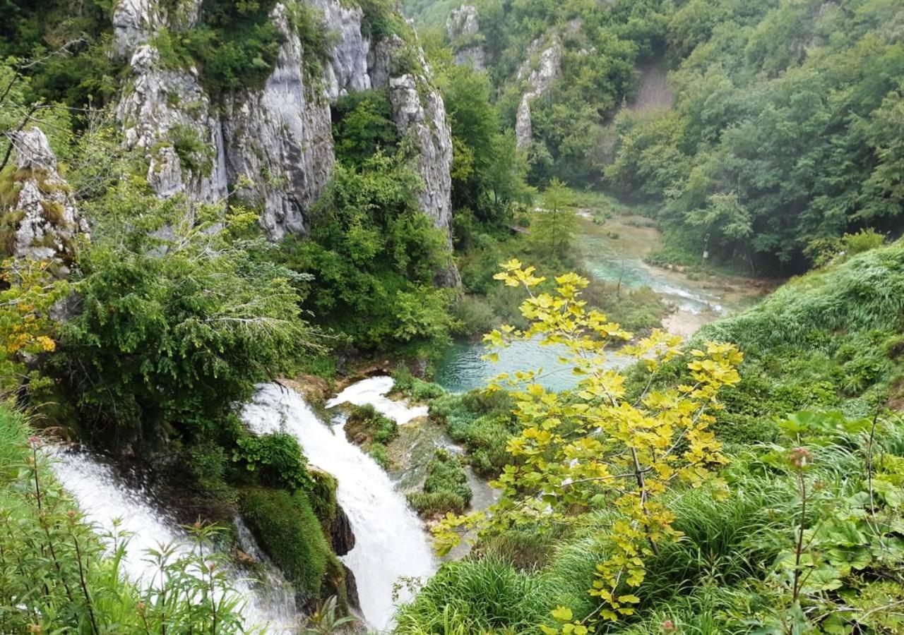 Green Eden Gornji Zvečaj Extérieur photo